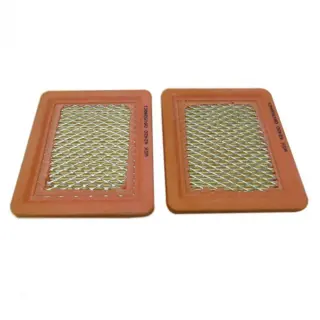 Фільтр повітряний WIX FILTERS Briggs and Stratton (42420)