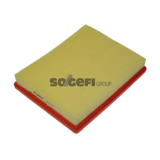 Фільтр повітряний 6244299430 FRAM (CA10191)