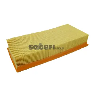 Фільтр повітряний 6244286270 FRAM (CA11100)