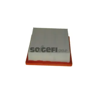 Фільтр повітряний Z700000773 BTE 4KXX FRAM (CA11222)