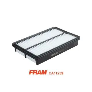 Фільтр повітряний 6244332960 FRAM (CA11259)