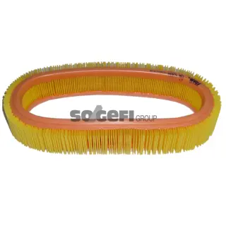 Фільтр повітряний FRAM (CA5309)