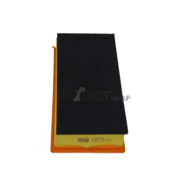 Фільтр повітряний 6244058710, AG1242 FRAM (CA5715)